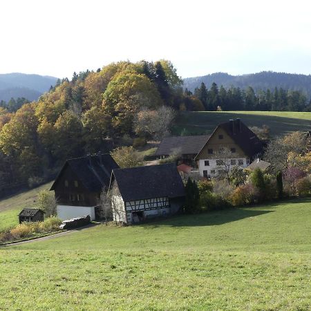 Ferienwohnung Hofenhof Schiltach Bagian luar foto