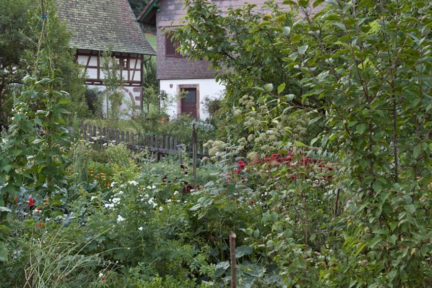 Ferienwohnung Hofenhof Schiltach Bagian luar foto