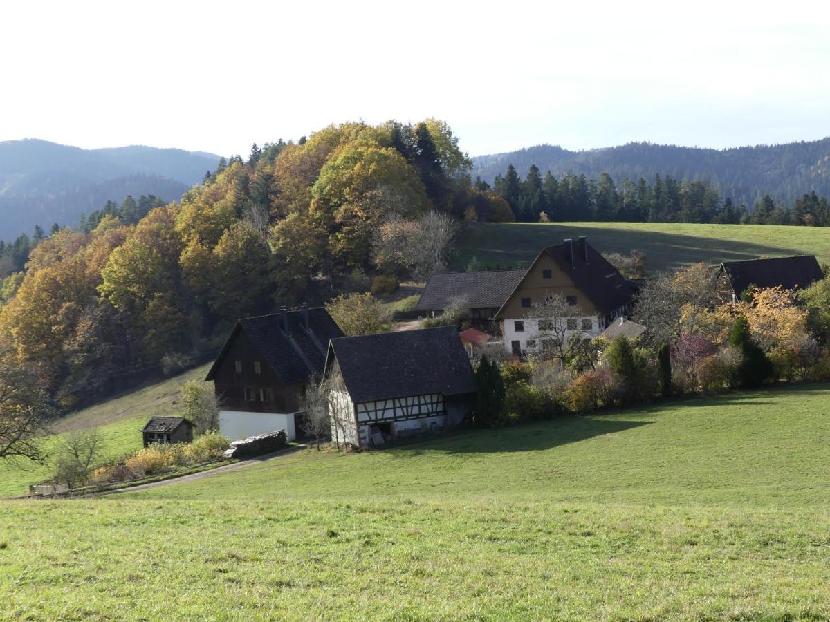 Ferienwohnung Hofenhof Schiltach Bagian luar foto