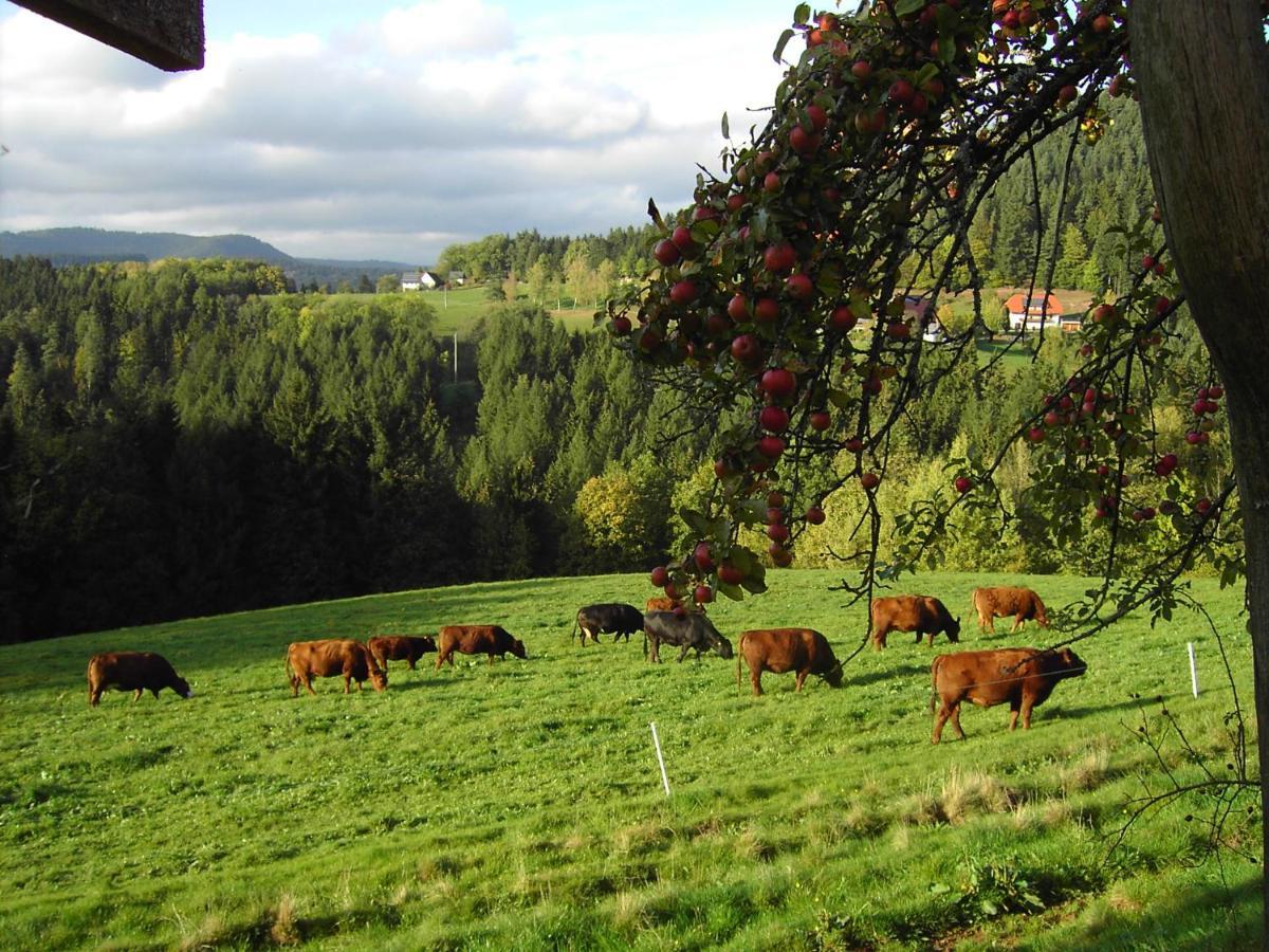 Ferienwohnung Hofenhof Schiltach Bagian luar foto